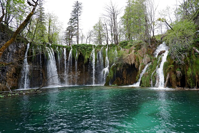 ... E DOPO PARMA, TOUR AD ABBAZIA, LAGHI DI PLITVICE E FIUME