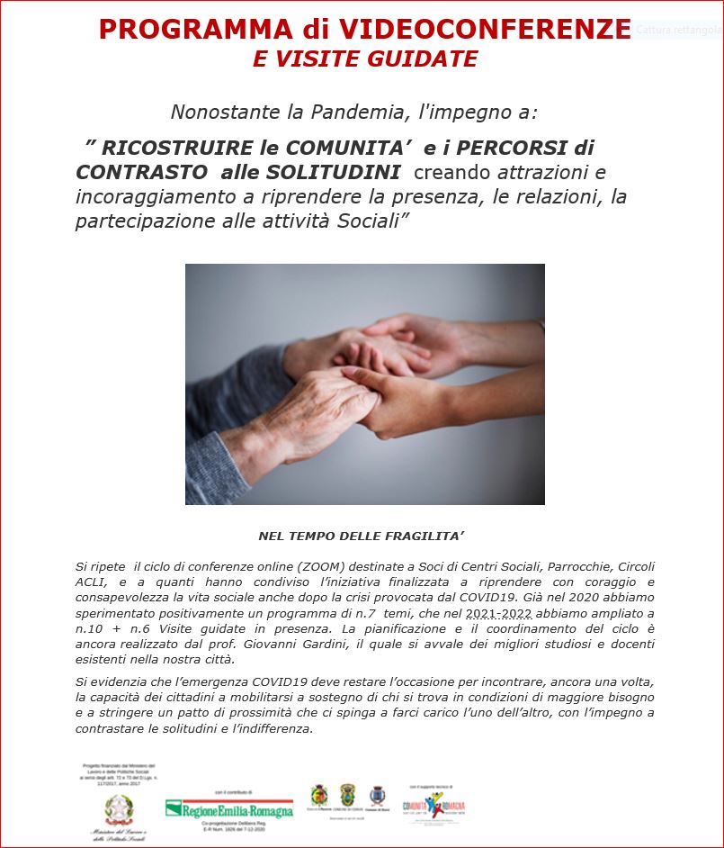 Programma delle Videoconferenze Online